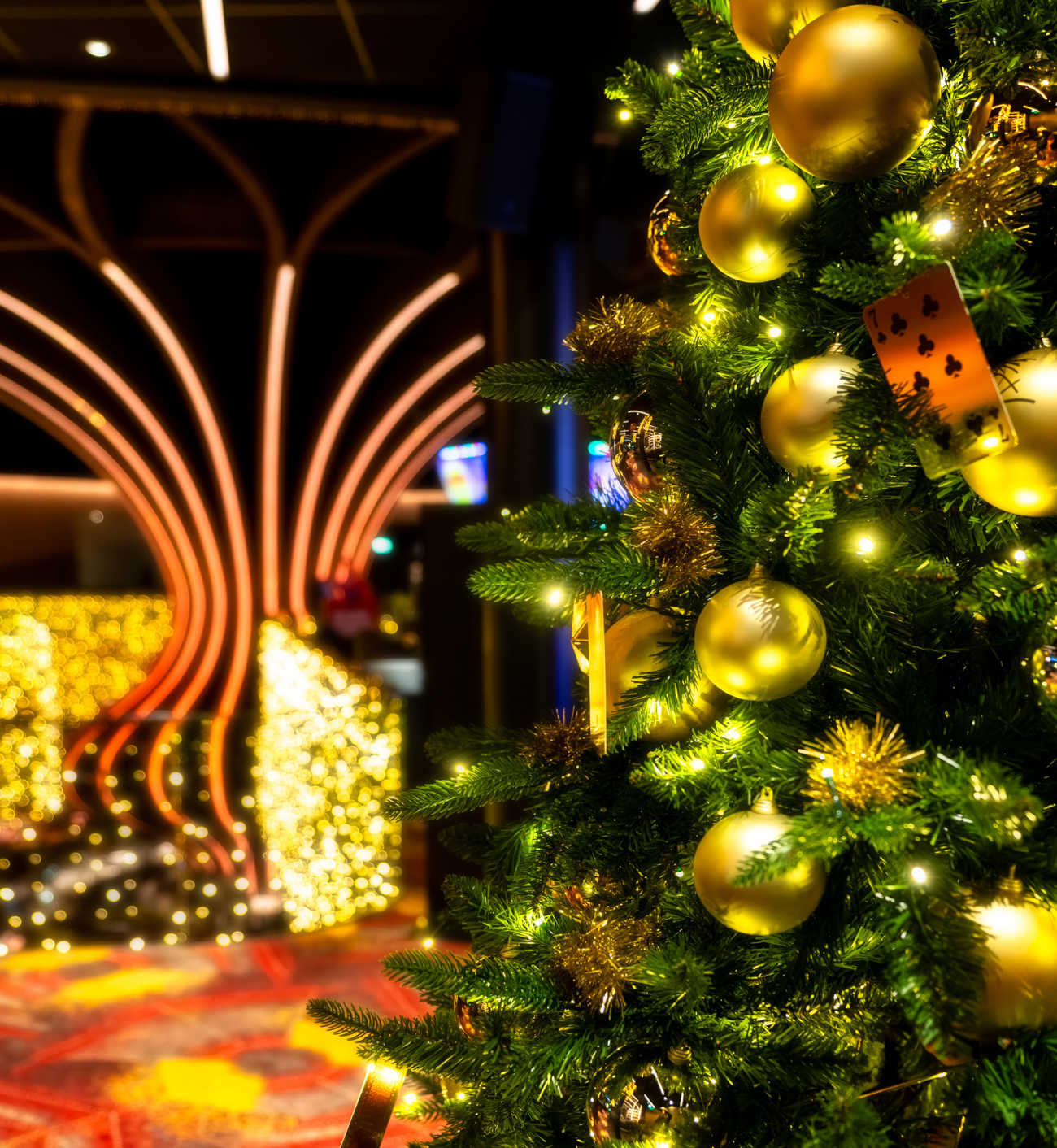 600966BF FAC4 4260 BFFD C3CB3AF20561