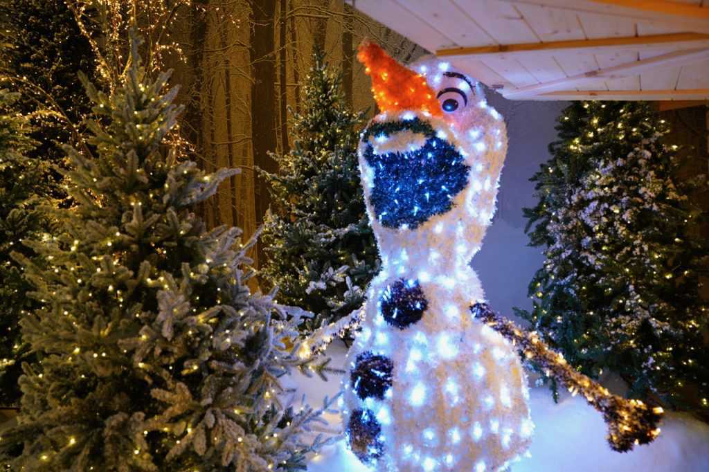 Olaf
