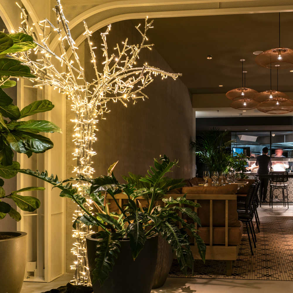 Hotel Amsterdam Kerst Verlichting