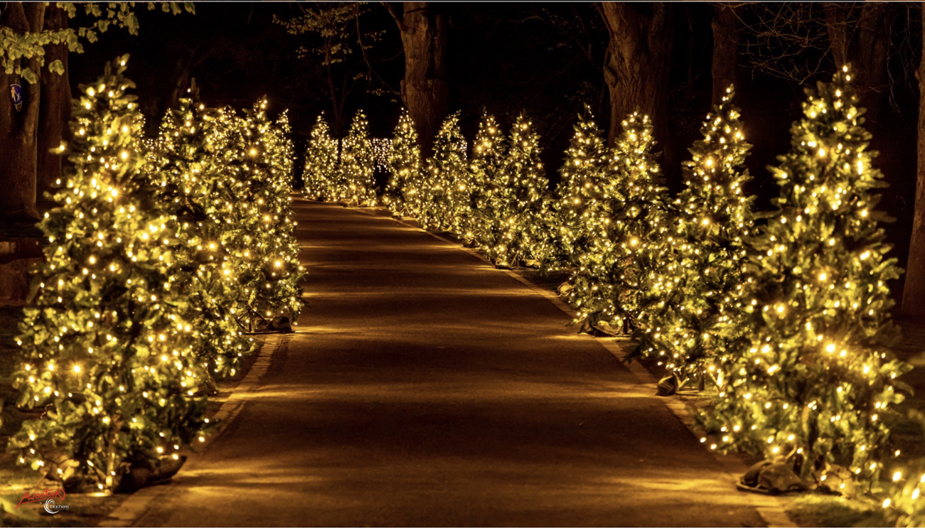 Schermafbeelding 2023 10 12 Om 16.02.05