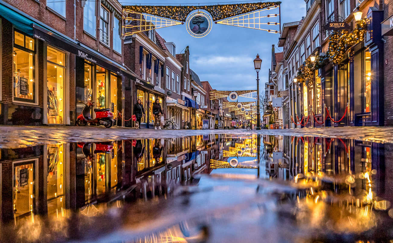 Professional Christmas lighting for indoors and outdoors