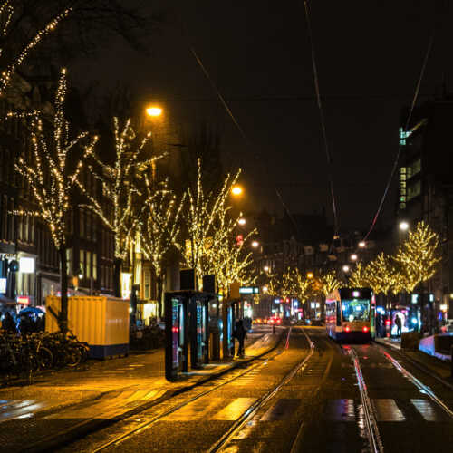 Kerstverlichting Boom Amsterdam